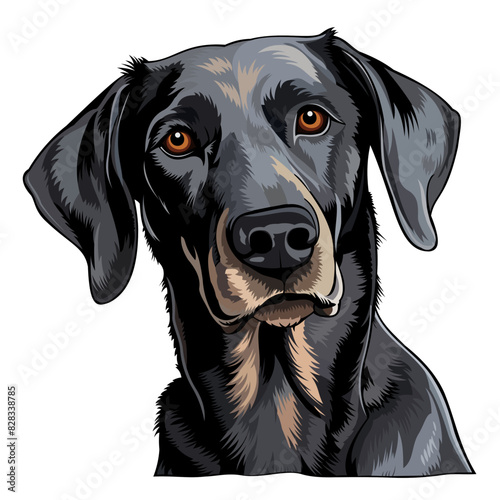 Vector Illustration of Black Labrador Dog on White Background