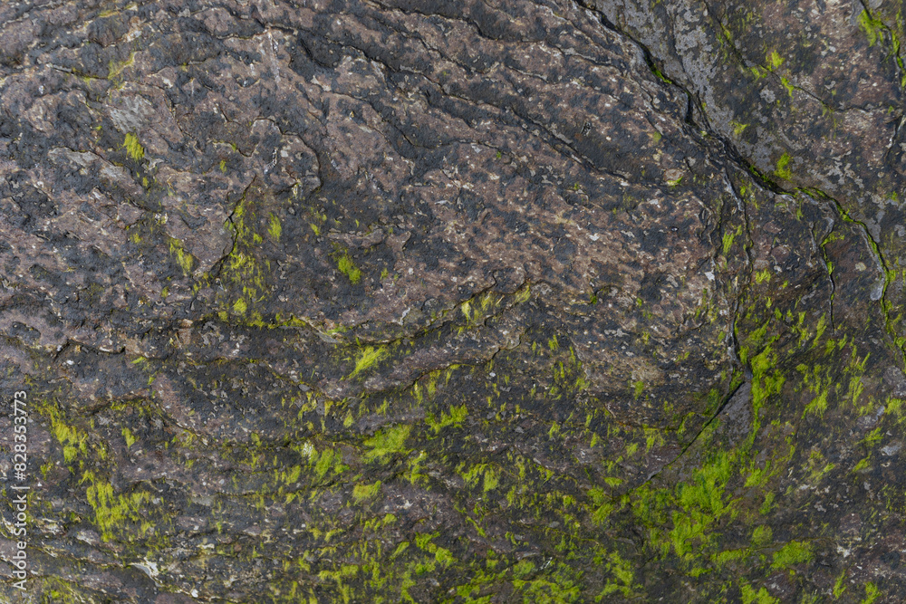 Stone texture worn by the wind and the sea of the coast located on a wild beach. Stone texture worn by the wind and the sea of the coast located on a wild beach.
