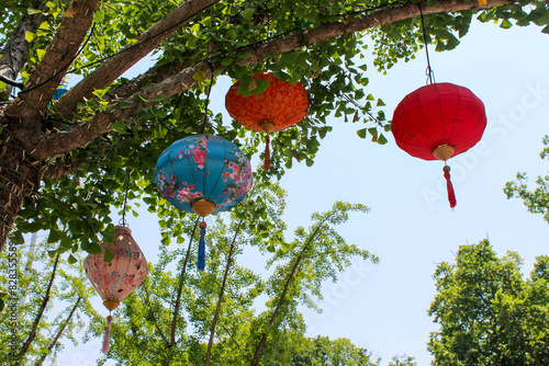 Chinese lanterns in tree