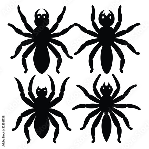Set of Black Tarantula black vector on white background