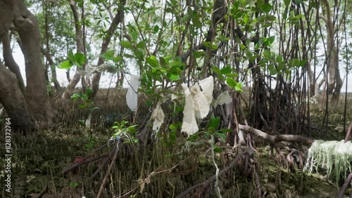 Plastic trash stuck to trees in the mangrove forest