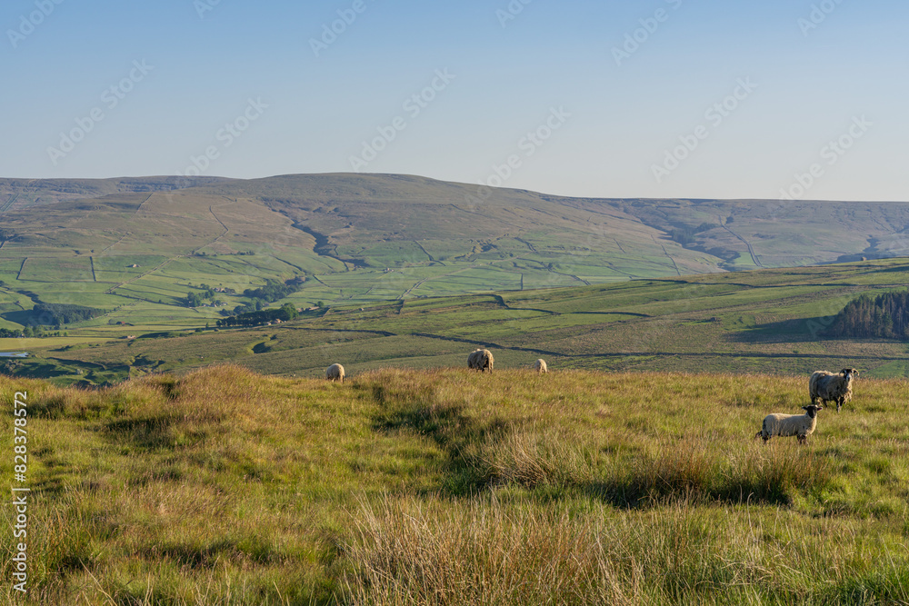 Peak District Landscape between Rookhope and Ireshopeburn, England, UK