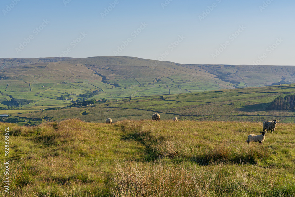 Peak District Landscape between Rookhope and Ireshopeburn, England, UK Peak District Landscape between Rookhope and Ireshopeburn, England, UK
