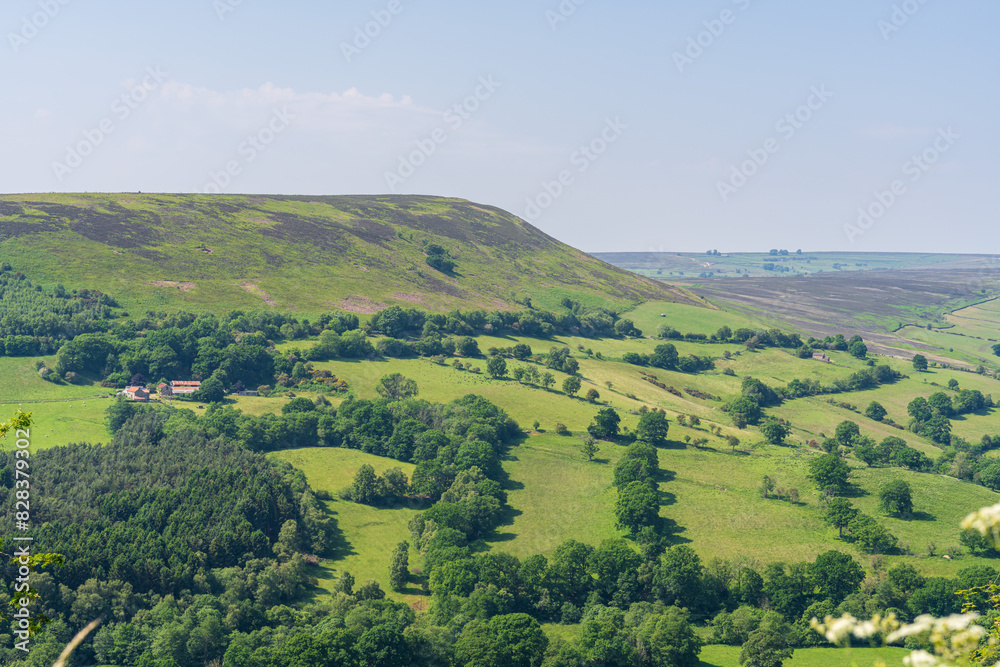 Fototapeta premium North Yorkshire landscape Near Laskill, England, UK