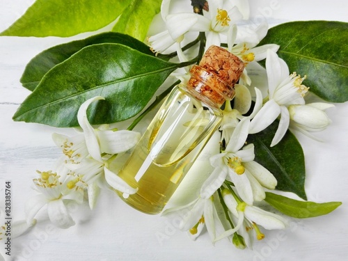 Neroli (Citrus aurantium) essential oil in bottle. Fresh white flowers, green leaf & neroli essential oil. Natural citrus flower attar perfume (neroli essential oil) for aromatherapy, spa, massage.