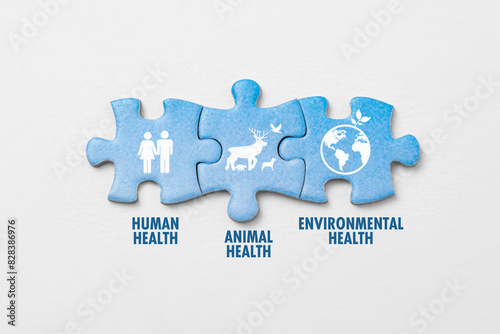 Jigsaw puzzle pieces on white background with icon, the words symbolize the interconnection of human health, animal health, and environmental health. One health concept of a clean, healthy environment