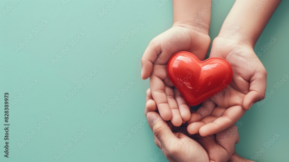 The Hands Holding Heart The Hands Holding Heart