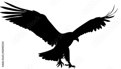 schwarze Silhouette Kontrast Adler isoliert auf weißen Hintergrund, Freisteller 