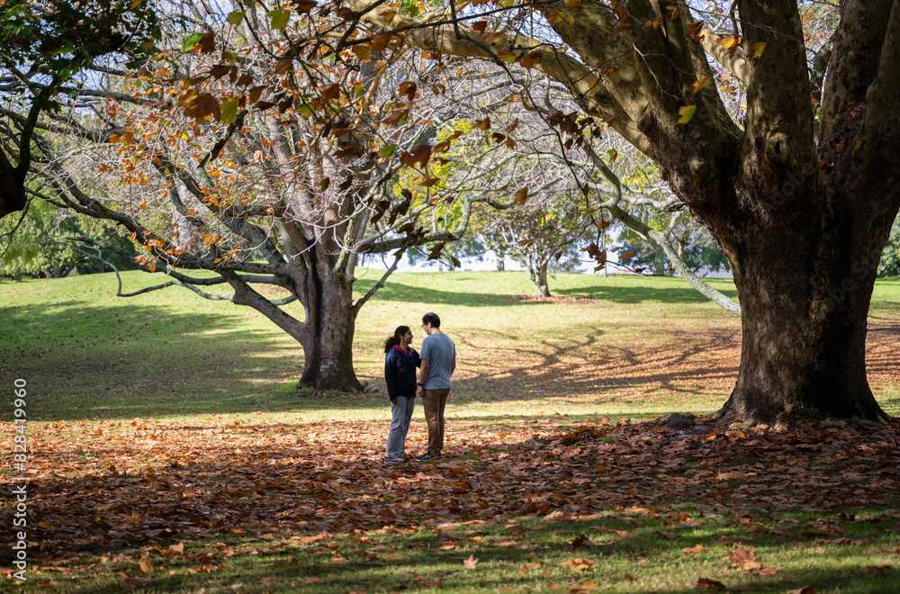 Couple talking under golden autumn trees. Auckland. Couple talking under golden autumn trees. Auckland.