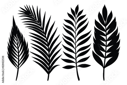 Set of palm leaves and branches black on white background © mobarok8888