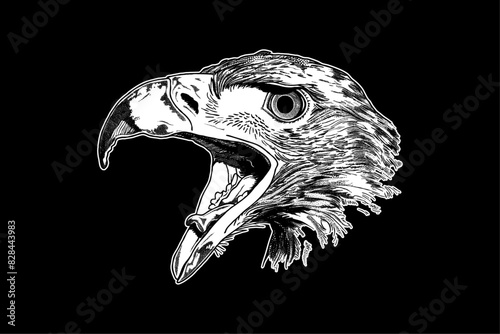screeched the eagle head, hand drawn woodcut engraving style vintage antique vector illustration 