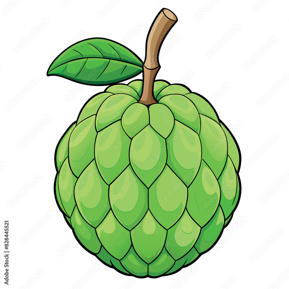 Custard Apple cartoon vector Illustration flat style artwork concept Custard Apple cartoon vector Illustration flat style artwork concept