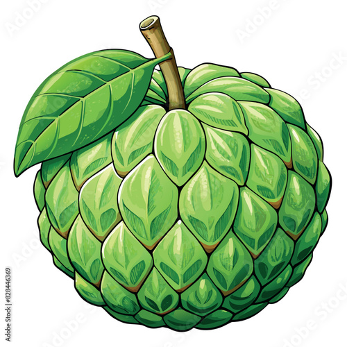 Custard Apple cartoon vector Illustration flat style artwork concept