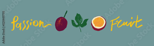 Passion fruit vector drawing in hand drawn style with rough charcoal and graphite texture. Color granadilla symbol for cosmetics, yogurt packaging, fruits puree labels. Hand lettering passion fruit