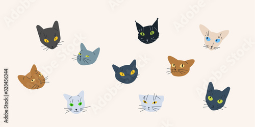 Wallpaper Mural Cat heads vector illustration. Set of different friendly kittens with open eyes. Torontodigital.ca