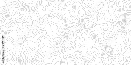 Black and white wave Seamless line. Vector geographic contour map. Topography map background. Topography relief. White wave paper curved reliefs abstract. Topographic map patterns,topography line map.