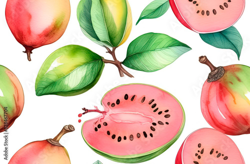 Seamless pattern of hand drawn watercolor guava fruits and leaves. Summer tropical fruits on white background