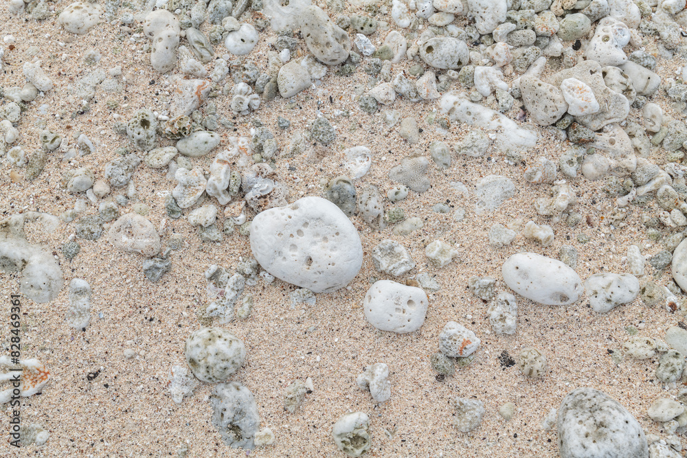 Calcareous fragments of coral and shells on the white sand beach， Kaloko Beach, Oahu Hawaii.  Beach deposits	