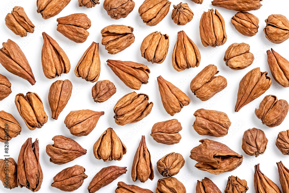 Dried Brown Flower Buds on White Background Dried Brown Flower Buds on White Background
