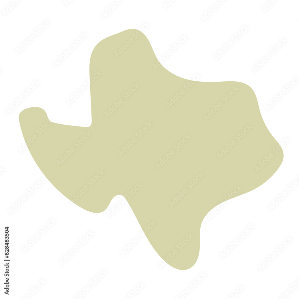 TEXAS vector map TEXAS vector map