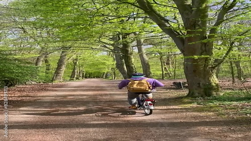 Wallpaper Mural A guy rides a bike on a forest road Torontodigital.ca