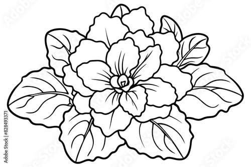 violet flower vector silhouette illustration