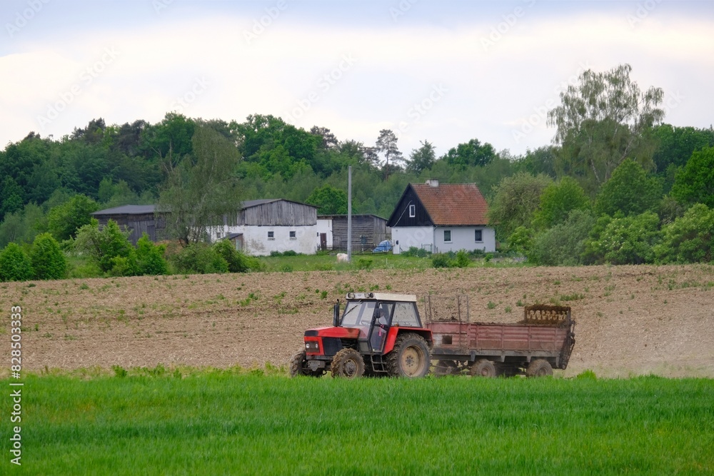 Fototapeta premium A red tractor with a trailer drives through a plowed field