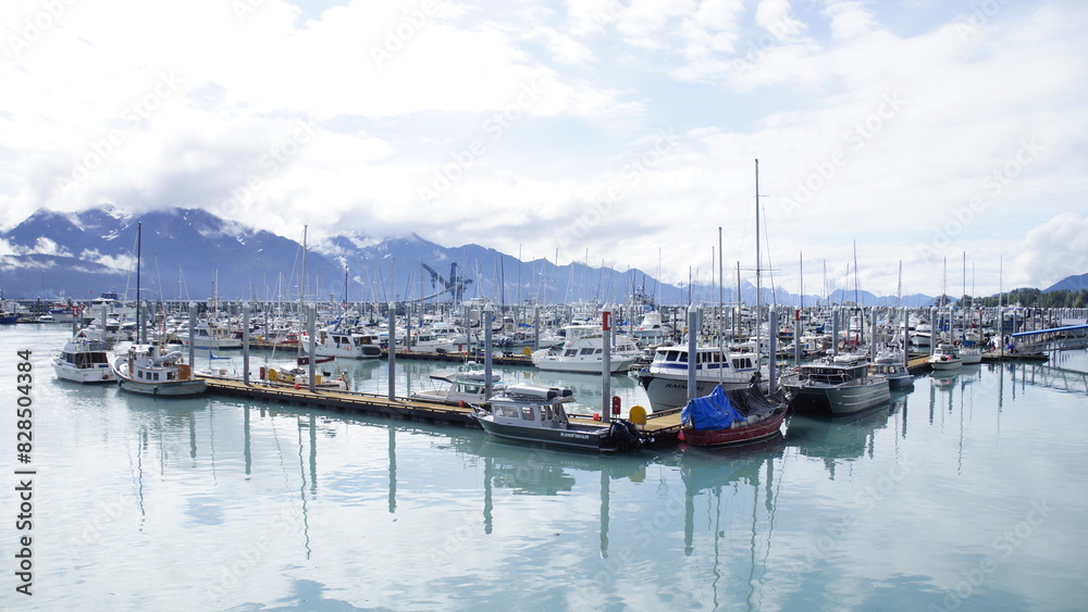 many boats are docked and one boat is gray and white many boats are docked and one boat is gray and white