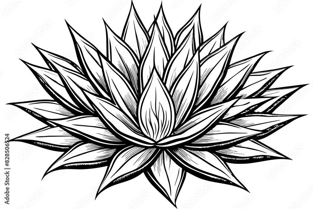 agave wild flower vector silhouette illustration agave wild flower vector silhouette illustration