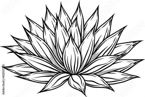 agave wild flower vector silhouette illustration