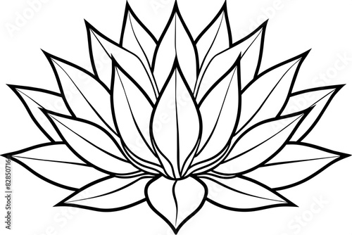 agave wild flower vector silhouette illustration