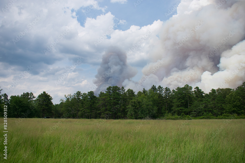 Fire with blue smoke in the sky above rural landscape of the Wharton State Fire with blue smoke in the sky above rural landscape of the Wharton State