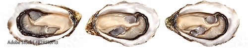 Multicultural Oyster Trio: Hyper-Realistic Culinary Delight 