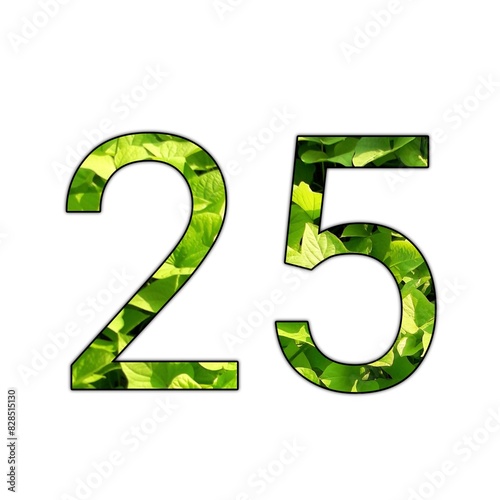 Design number 25 with leaf texture on isolated white background