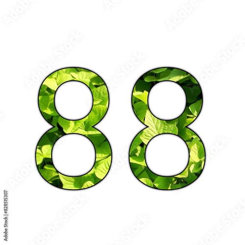 Design number 88 with leaf texture on isolated white background