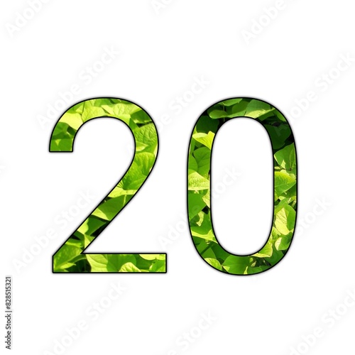 Design number 20 with leaf texture on isolated white background