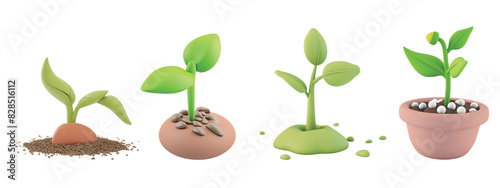Various stages of plant growth, from seedling to young plant, isolated on a transparent background. 3D illustration of plant development for educational, gardening concepts. Botany growth
