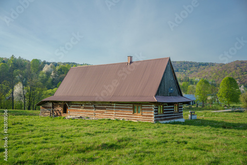 abandoned traditional Lemko hut near the Orthodox church, Olchowiec, Beskid Niski, Poland photo