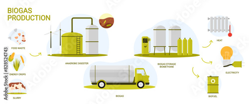 Biogas, bio energy production in industrial infographic scheme with process stages. Biomass of organic food and livestock waste processed into biofuel, electricity and heat cartoon vector illustration © Flash Vector