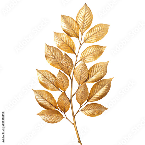Golden leaves on a branch design elements. Decoration elements for invitation, wedding cards, Valentine's Day, greeting cards. Christmas decor Isolated on transparent background.
