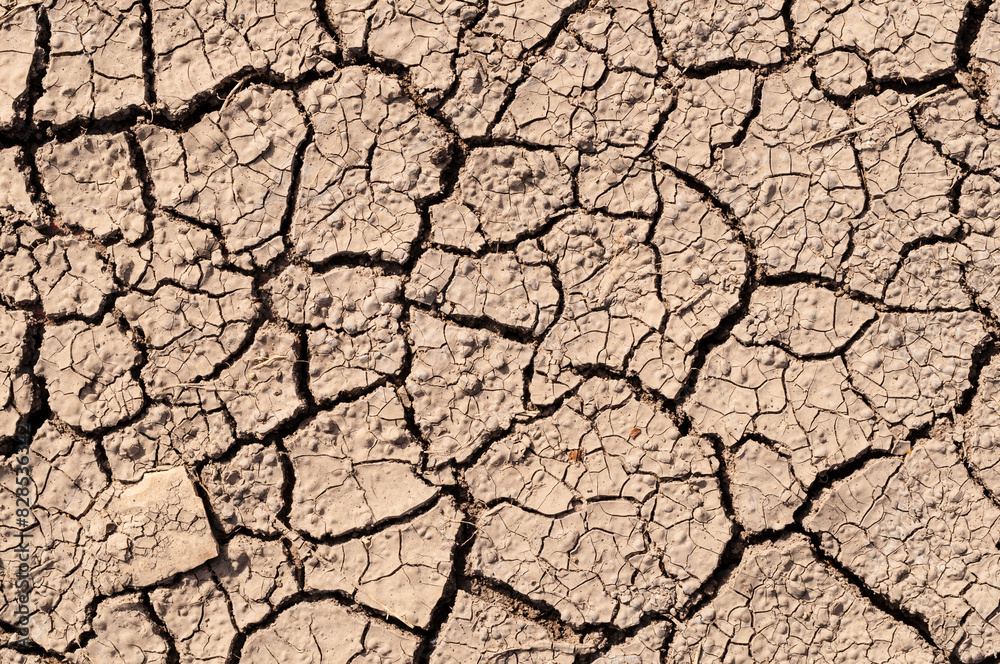 Close-up of a dried cracked soil Close-up of a dried cracked soil