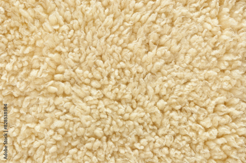 Closeup of a lambskin Closeup of a lambskin
