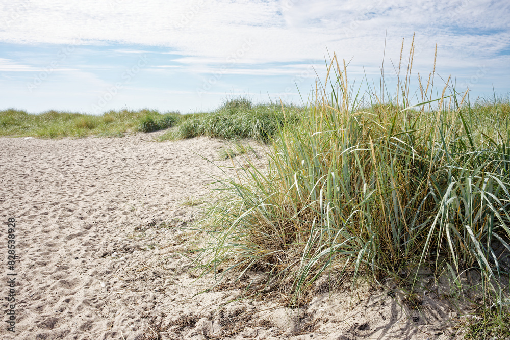 Scenic view of South beach, Fehmarn Island, Baltic Sea, Germany Scenic view of South beach, Fehmarn Island, Baltic Sea, Germany