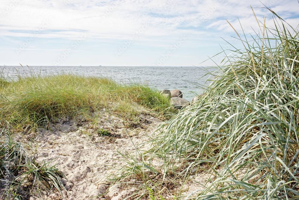 Scenic view of South beach, Fehmarn Island, Baltic Sea, Germany Scenic view of South beach, Fehmarn Island, Baltic Sea, Germany