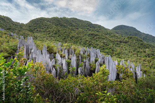 Fotografía Pinnacles at Mulu National Park in Sarawak