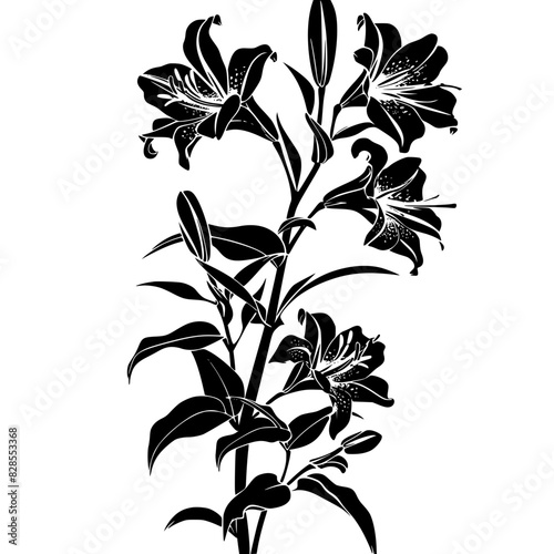 lily silhouette, lily svg, lily png, lily illustration, lily, silhouette flower, floral svg, herb svg, flower illustration, flower, floral, vector, nature, illustration, spring, design, pattern, summe
