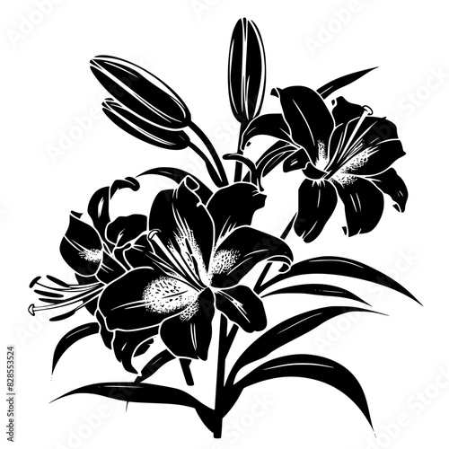lily silhouette, lily svg, lily png, lily illustration, lily, silhouette flower, floral svg, herb svg, flower illustration, flower, floral, vector, nature, illustration, spring, design, pattern, summe