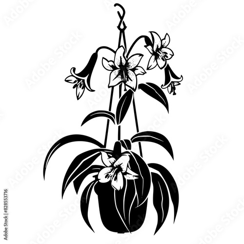 lily silhouette, lily svg, lily png, lily illustration, lily, silhouette flower, floral svg, herb svg, flower illustration, flower, floral, vector, nature, illustration, spring, design, pattern, summe