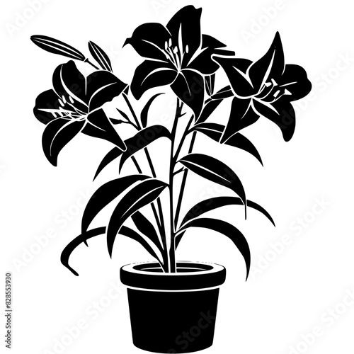 lily silhouette, lily svg, lily png, lily illustration, lily, silhouette flower, floral svg, herb svg, flower illustration, flower, floral, vector, nature, illustration, spring, design, pattern, summe