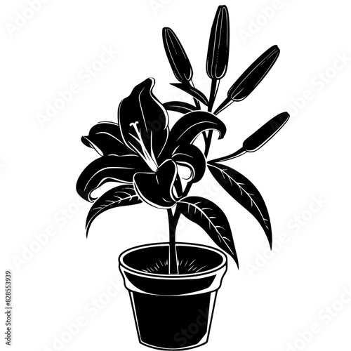 lily silhouette, lily svg, lily png, lily illustration, lily, silhouette flower, floral svg, herb svg, flower illustration, flower, floral, vector, nature, illustration, spring, design, pattern, summe